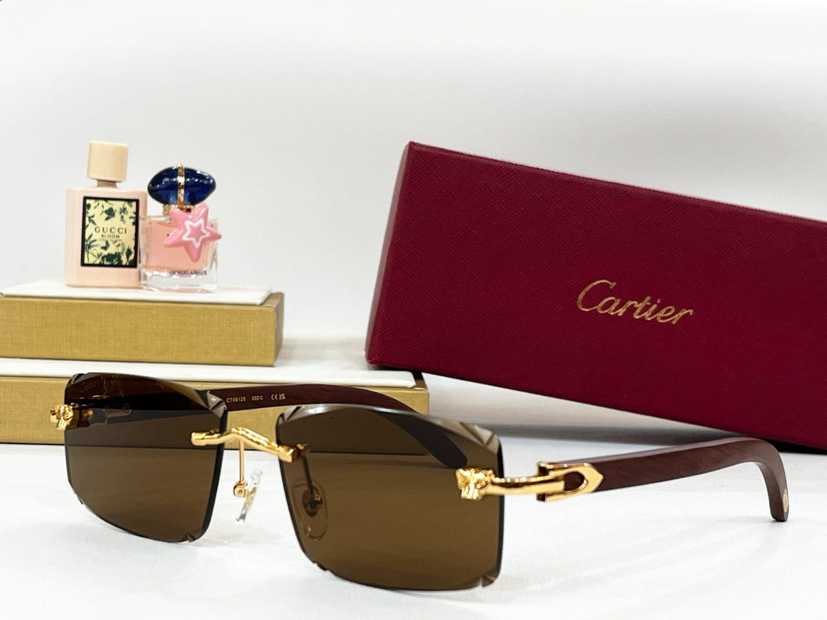 CARTIER RIMLESS RECTANGULAR FRAME SUNGLASSES CT0612S IN METAL